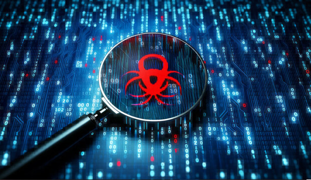 Bug hunting and product polishing